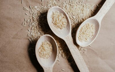 Leche vegetal de arroz